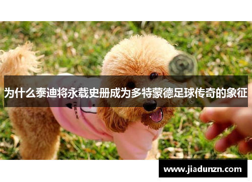 为什么泰迪将永载史册成为多特蒙德足球传奇的象征